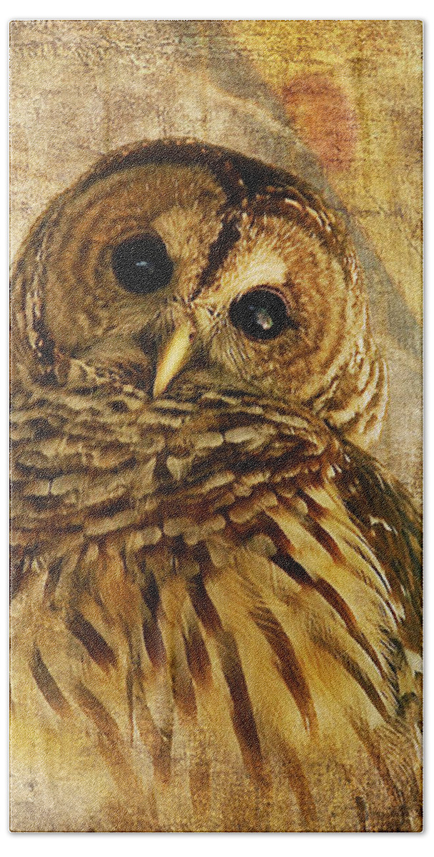 Owl Hand Towel featuring the photograph Barred Owl by Lois Bryan