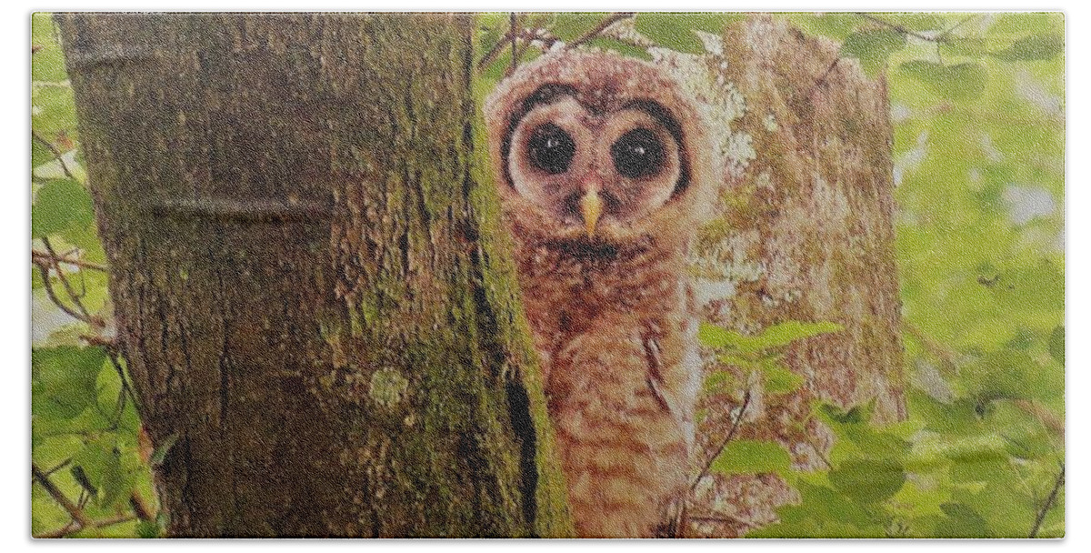 Barred Owlet Young Barred Owl Wetland Owl Mature Woodland Oldgrowth Forest Nocturnal Birds Nocturnal Creatures Nocturnal Animals Nocturnal Raptors Nightlife Wisdom North American Owls Owl Species Wildlife Icons Forest Creatures Wild Animals Hand Towel featuring the photograph Barred owlet by Joshua Bales