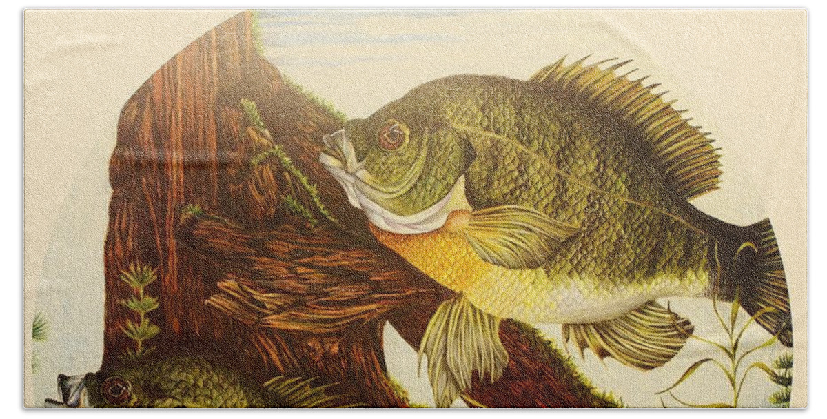 Fishing Hand Towel featuring the drawing Basking Bluegills by Bruce Bley