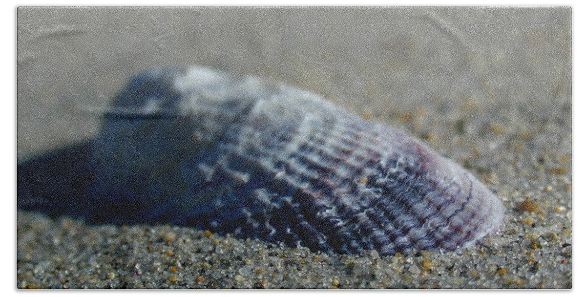 Shell Bath Towel featuring the photograph Beach Shell by Juergen Roth