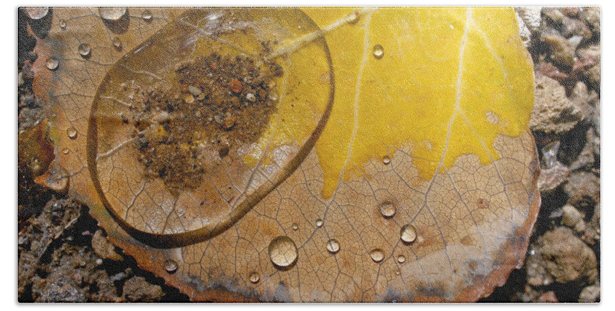 Leaf Bath Towel featuring the photograph Tiny Pond by Becky Titus