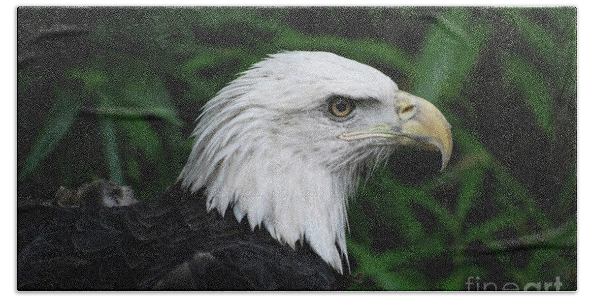 Eagle Bath Towel featuring the photograph Beautiful American Bald Eagle by DejaVu Designs
