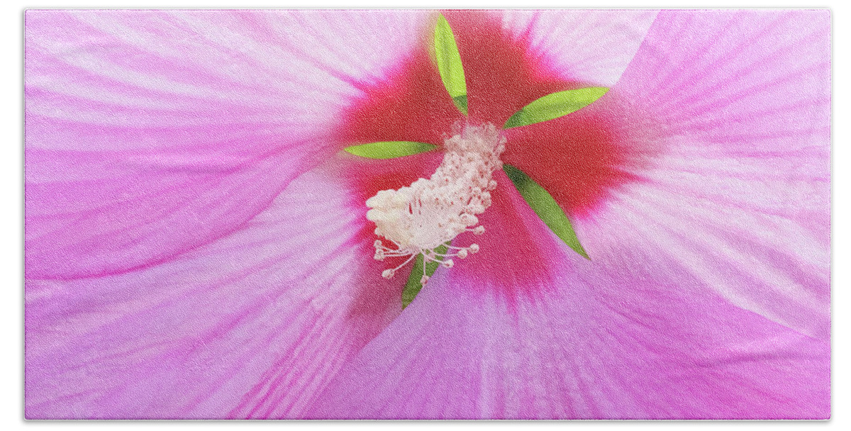Flower Bath Towel featuring the photograph Beautiful delicate pink hibiscus flower by GoodMood Art