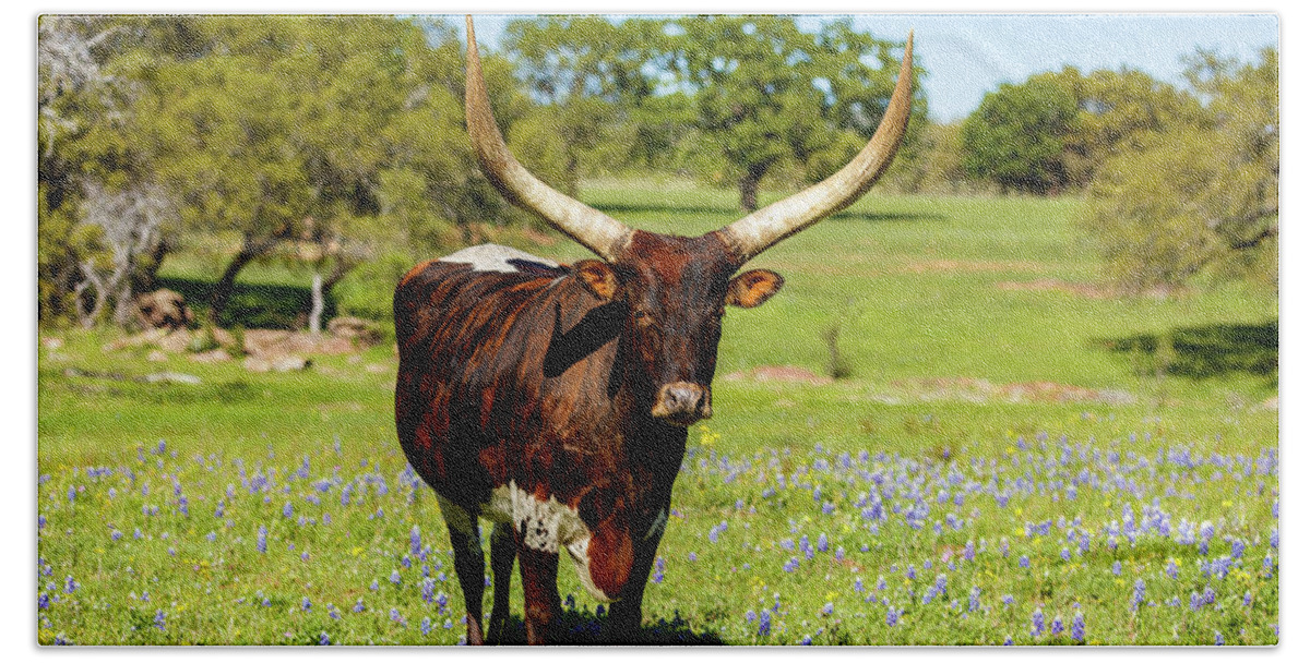 African Breed Hand Towel featuring the photograph Beautiful longhorn bull by Raul Rodriguez