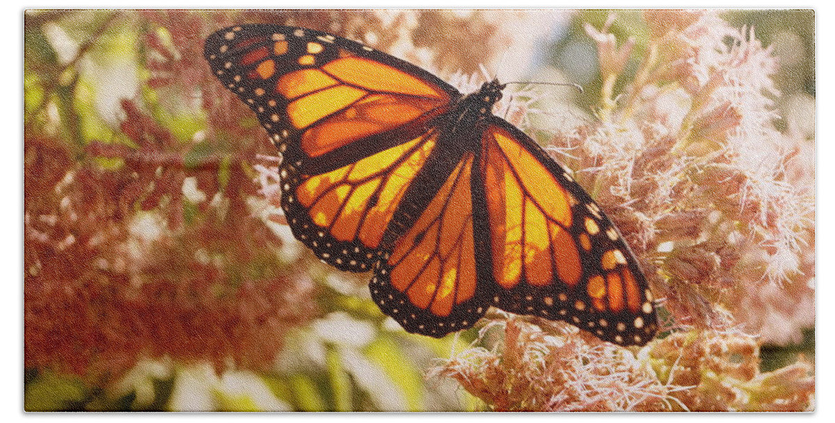 Butterfly Bath Towel featuring the photograph Beautiful Monarch by Beth Collins