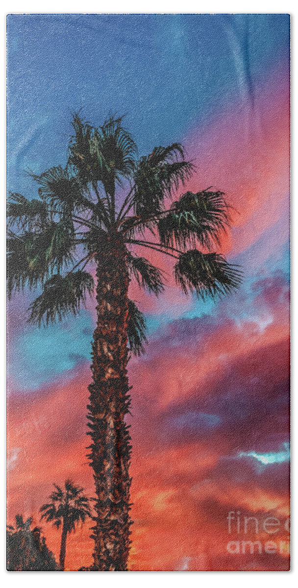 Sunrise Bath Towel featuring the photograph Beautiful Palm Tree by Robert Bales