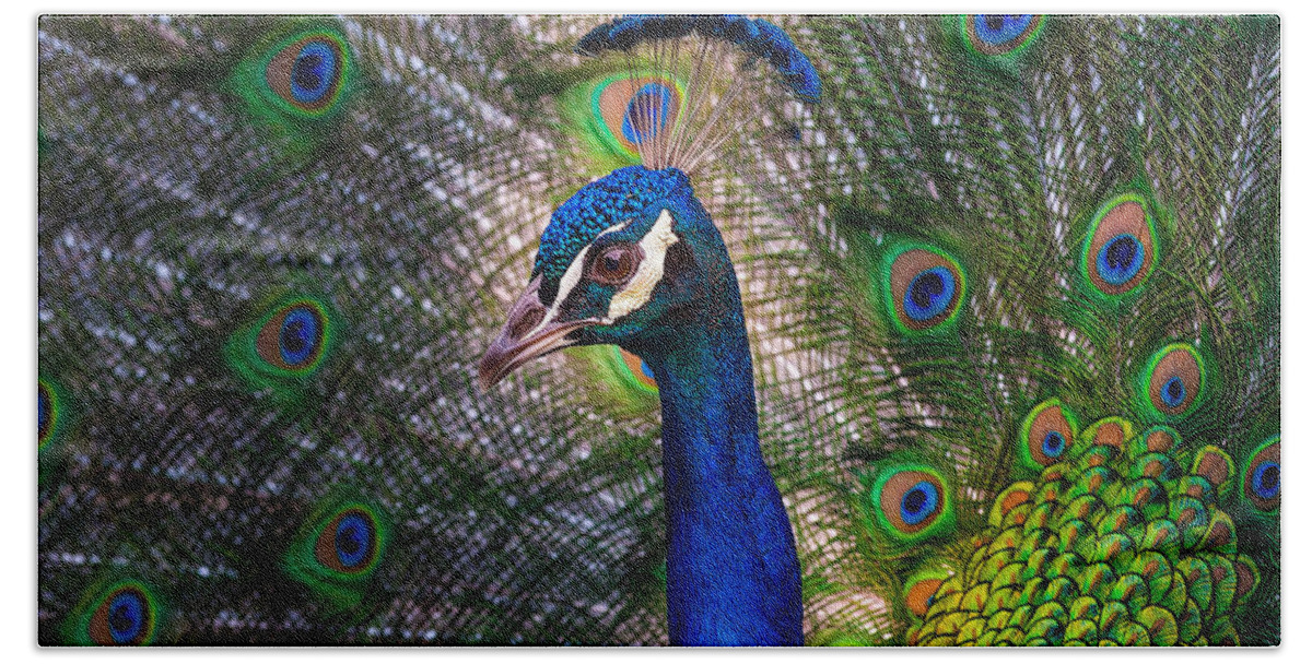 Peacock Hand Towel featuring the photograph Beautiful Peacock by Harry Spitz