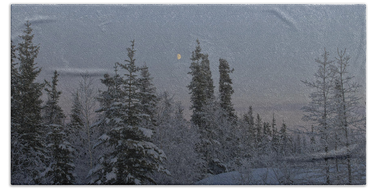 Snow Bath Towel featuring the photograph Beautiful Winter Evening by Brian Kamprath