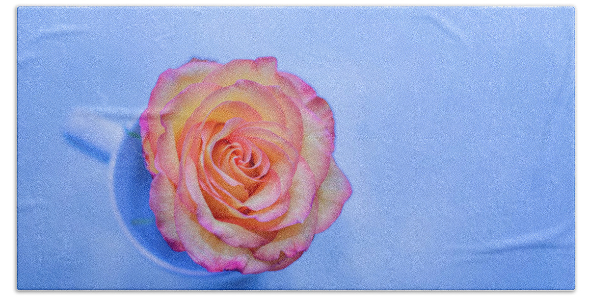Rose Hand Towel featuring the photograph Beauty In Blue by Elvira Pinkhas