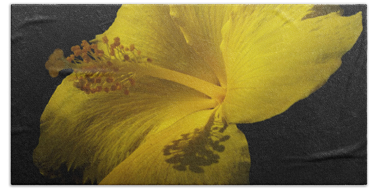 Yellow Flower Hand Towel featuring the photograph Beauty in Yellow by Maria Aduke Alabi