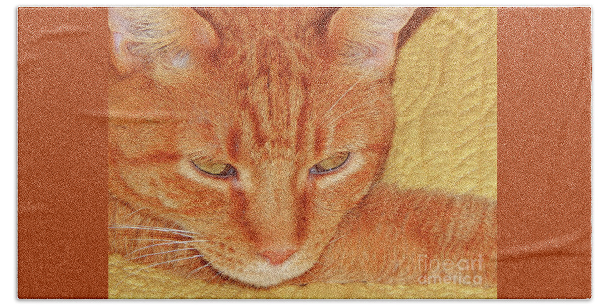 Cat Bath Towel featuring the photograph Beauty Of A cat by Jan Gelders