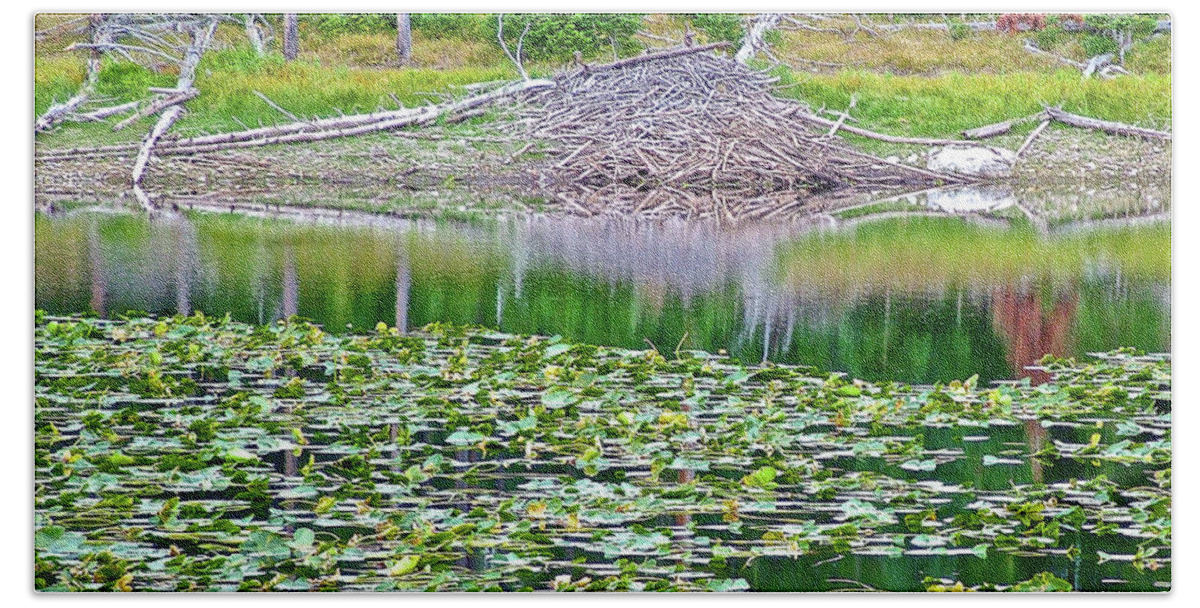 Beaver Dam In Heron Pond In Grand Tetons In Grand Tetons National Park Bath Towel featuring the photograph Beaver Dam in Heron Pond in Grand Tetons National Park, Wyoming by Ruth Hager