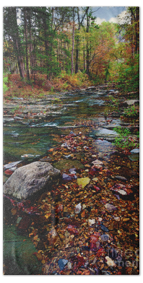 Landscape Bath Towel featuring the photograph Beaver's Bend Tiny Stream Vertical by Tamyra Ayles