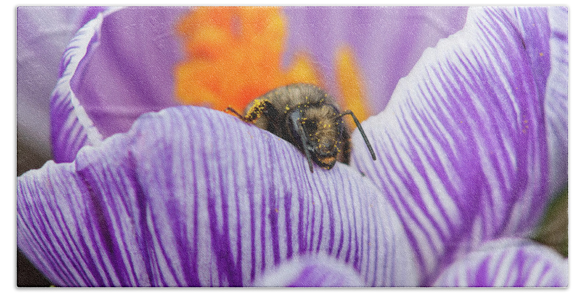 Astoria Bath Towel featuring the photograph Bee and Pollen by Robert Potts