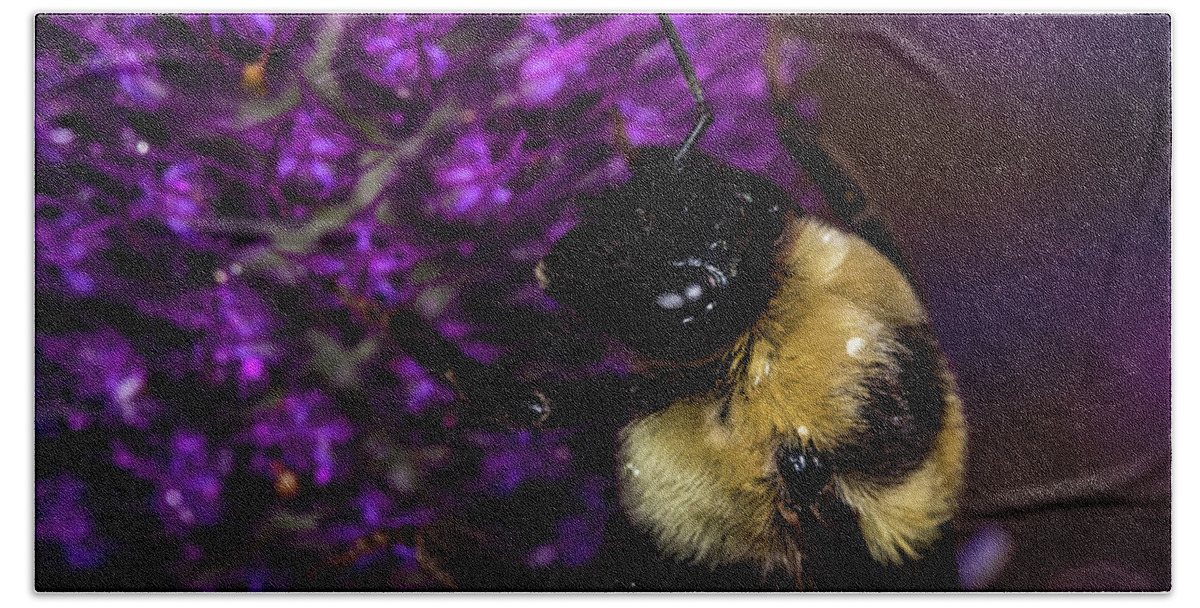 Jay Stockhaus Hand Towel featuring the photograph Bee and Purple Flower 2 by Jay Stockhaus