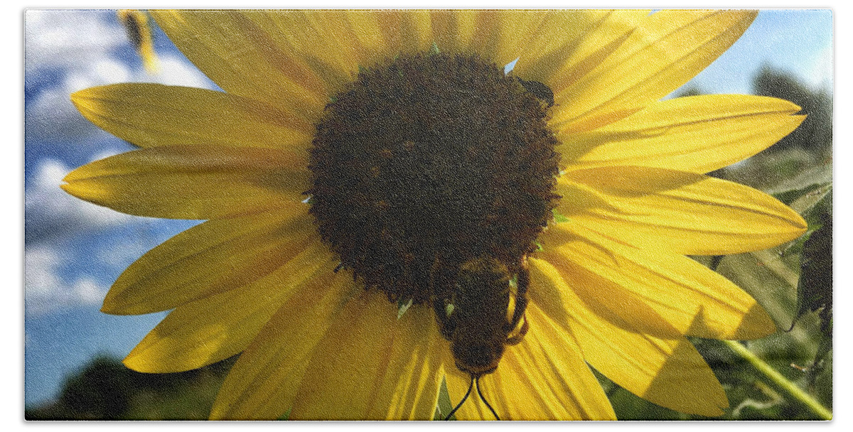 Nature Hand Towel featuring the photograph Bee and Sunflower by Nathan Little