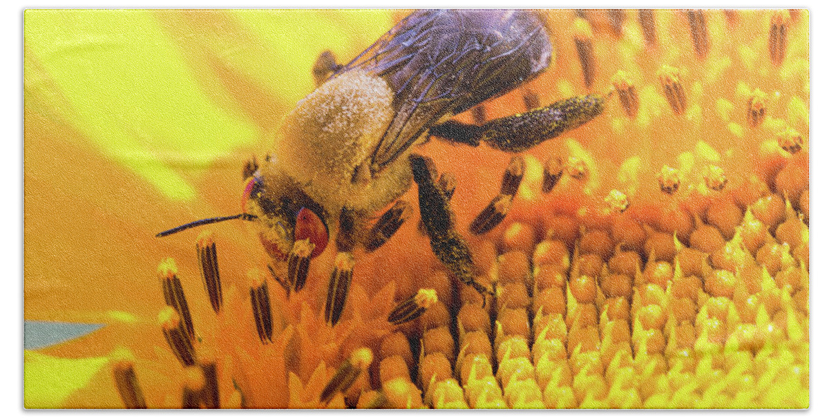 Antennae Bath Towel featuring the photograph Bee and Sunflower by SR Green