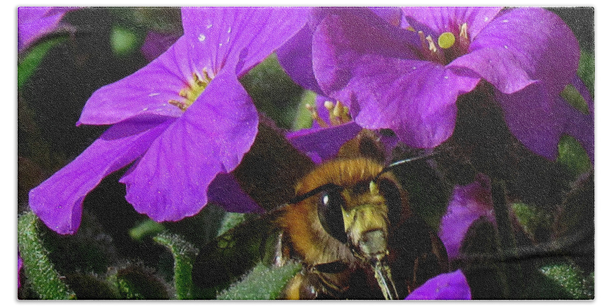 Bee Bath Towel featuring the photograph Bee Feeding on Purple Flower by John Topman