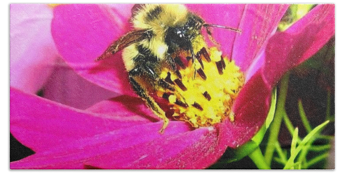 Bee Bath Towel featuring the photograph Bee-Line 3 by Will Borden