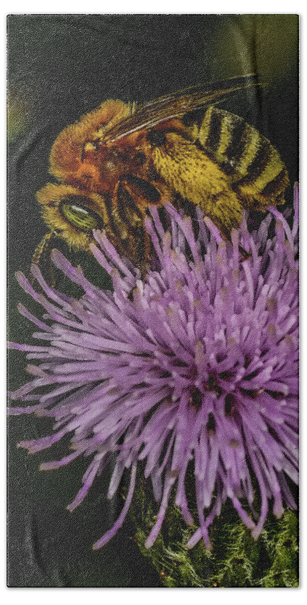 Bee On A Thistle Hand Towel featuring the photograph Bee On A Thistle by Paul Freidlund