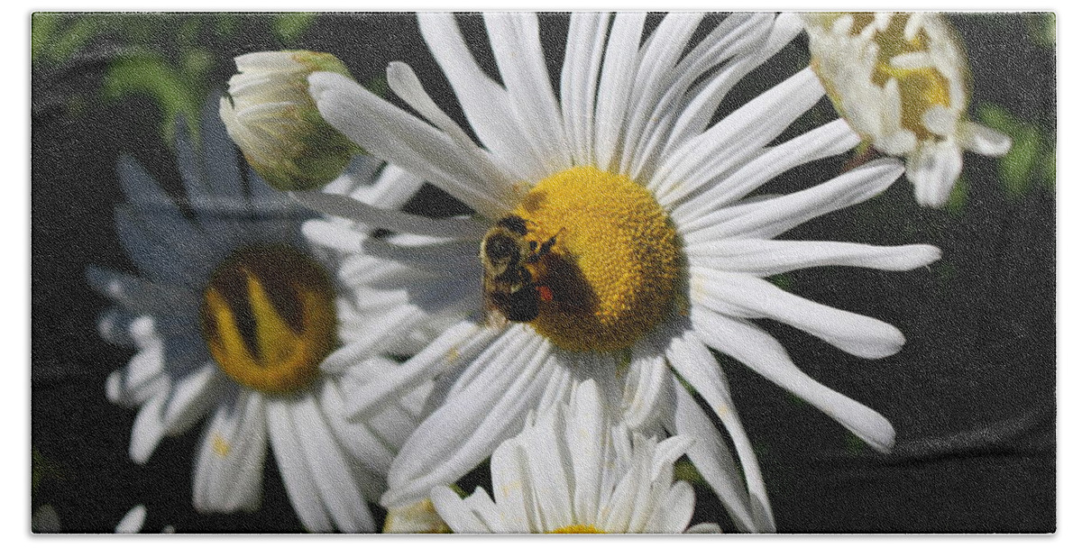 Flower Bath Towel featuring the photograph Bee on Flower 1 by Jason Nicholas