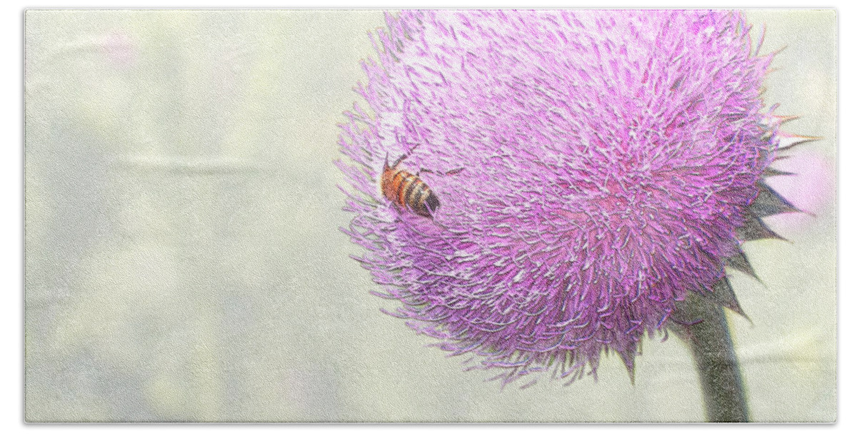 Bee Giant Thistle Plant Honeybee Craig Walters A An The Photo Art Artist Photograph Digital Landscape Pink Outdoors Photographic Artists Hand Towel featuring the digital art Bee on Giant Thistle by Craig Walters