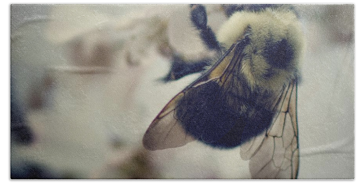 Bee Hand Towel featuring the photograph Bee by Sarah Coppola