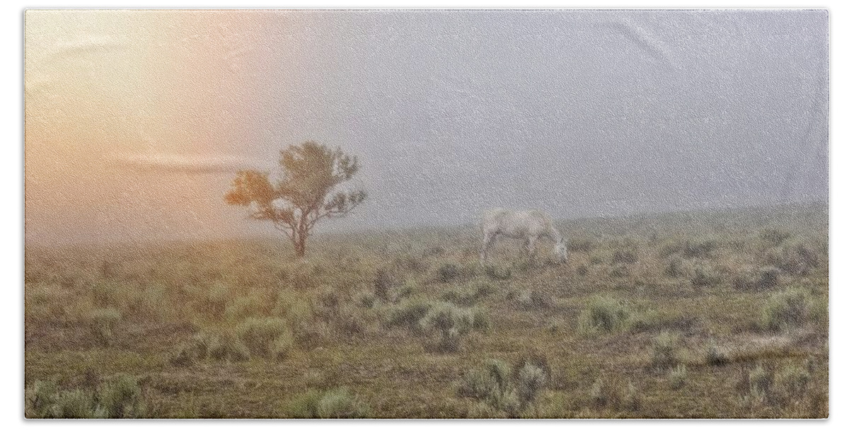 Horse Bath Towel featuring the photograph Beggar in the Mist by Amanda Smith