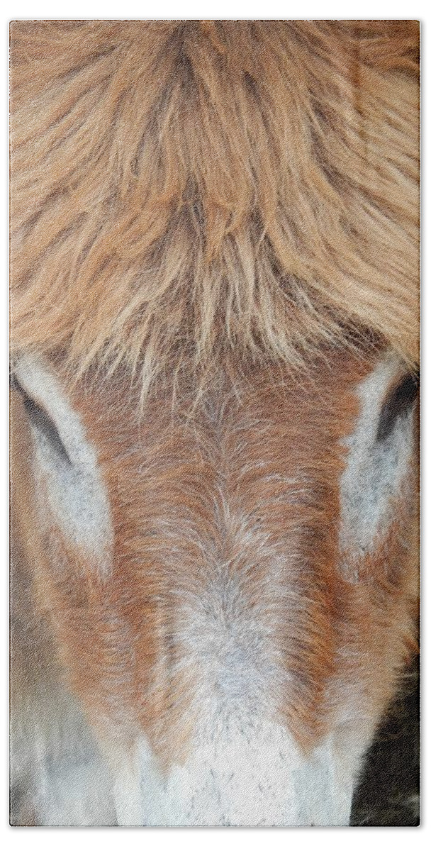 Donkey Bath Towel featuring the photograph Believe Me Its Real by Jan Gelders