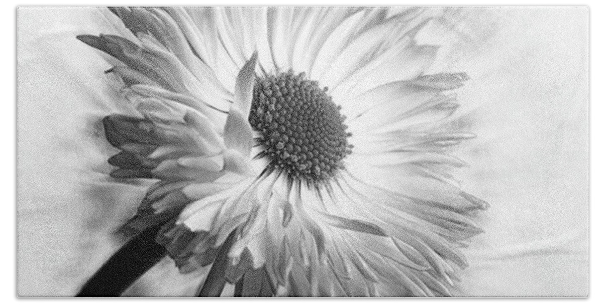 Beautiful Hand Towel featuring the photograph Bellis In Mono 
#flower #flowers by John Edwards
