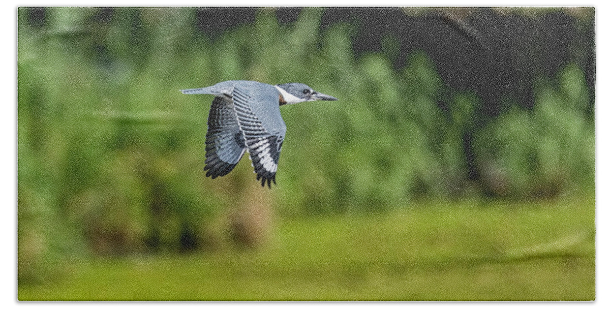 Belted Kingfisher Bath Towel featuring the photograph Belted Kingfisher by Todd Ryburn
