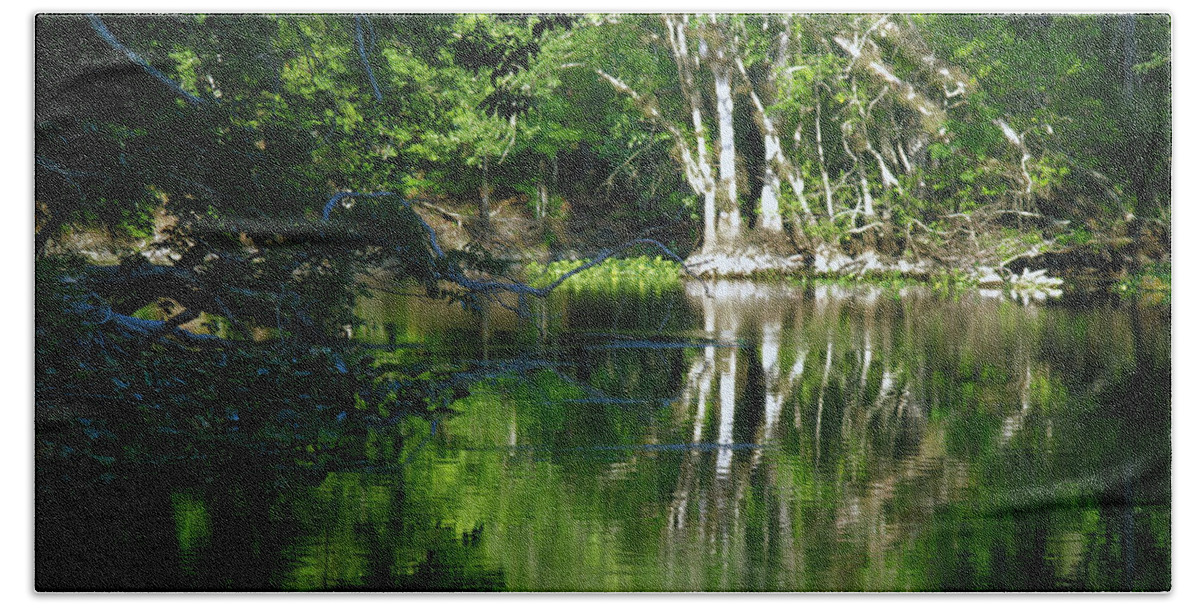  Ocklawaha River Hand Towel featuring the photograph Bend Of The Ocklawaha River by Bob Johnson