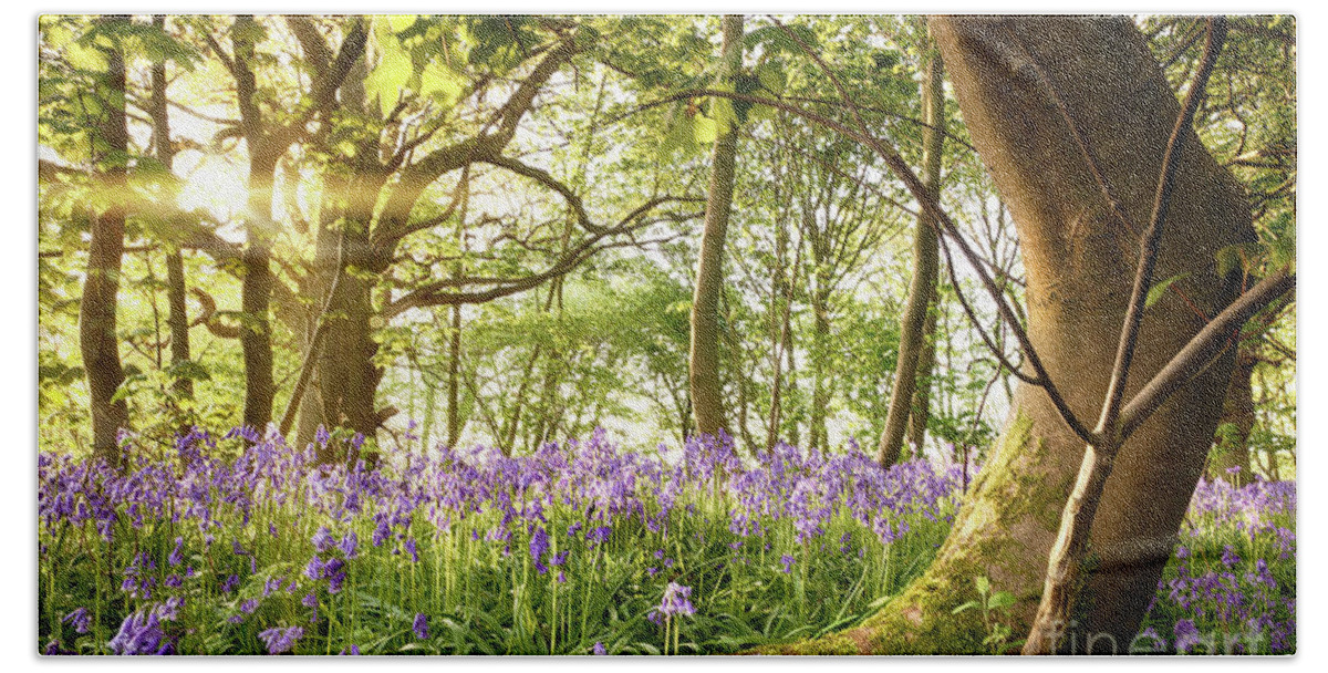 Forest Bath Towel featuring the photograph Bent tree in bluebell forest by Simon Bratt