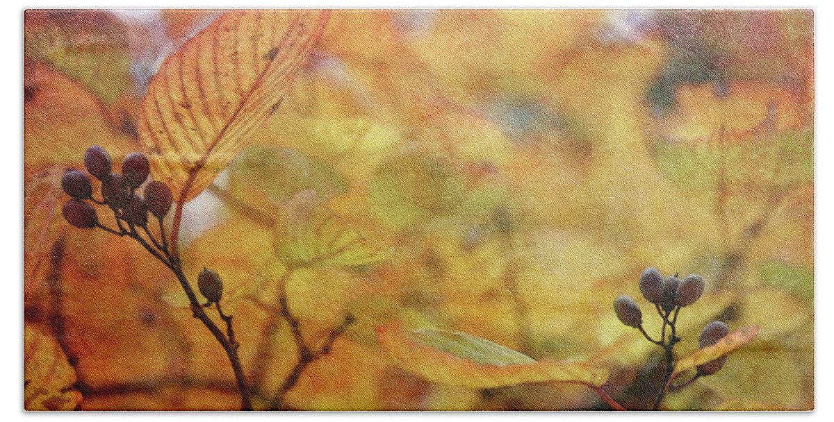 Impression Bath Towel featuring the photograph Berries Among The Gold 6548 IDP_2 by Steven Ward