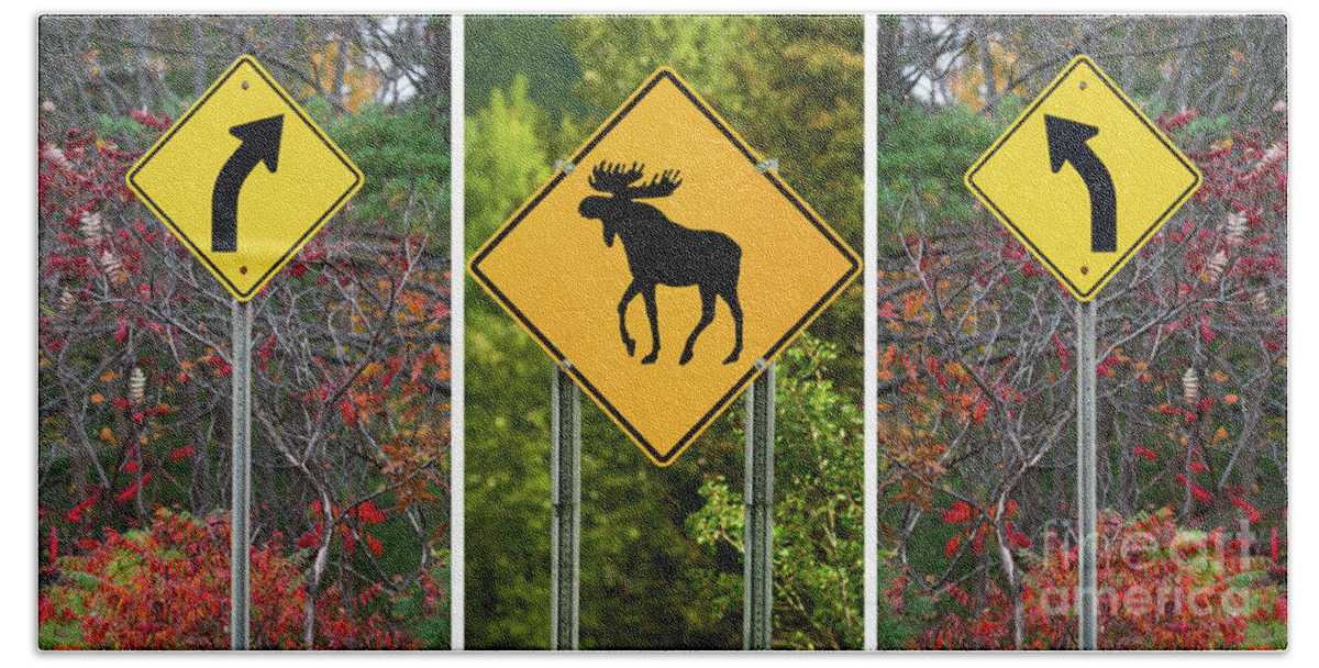 Turn Hand Towel featuring the photograph Beware Of The Moose Triptych by Les Palenik