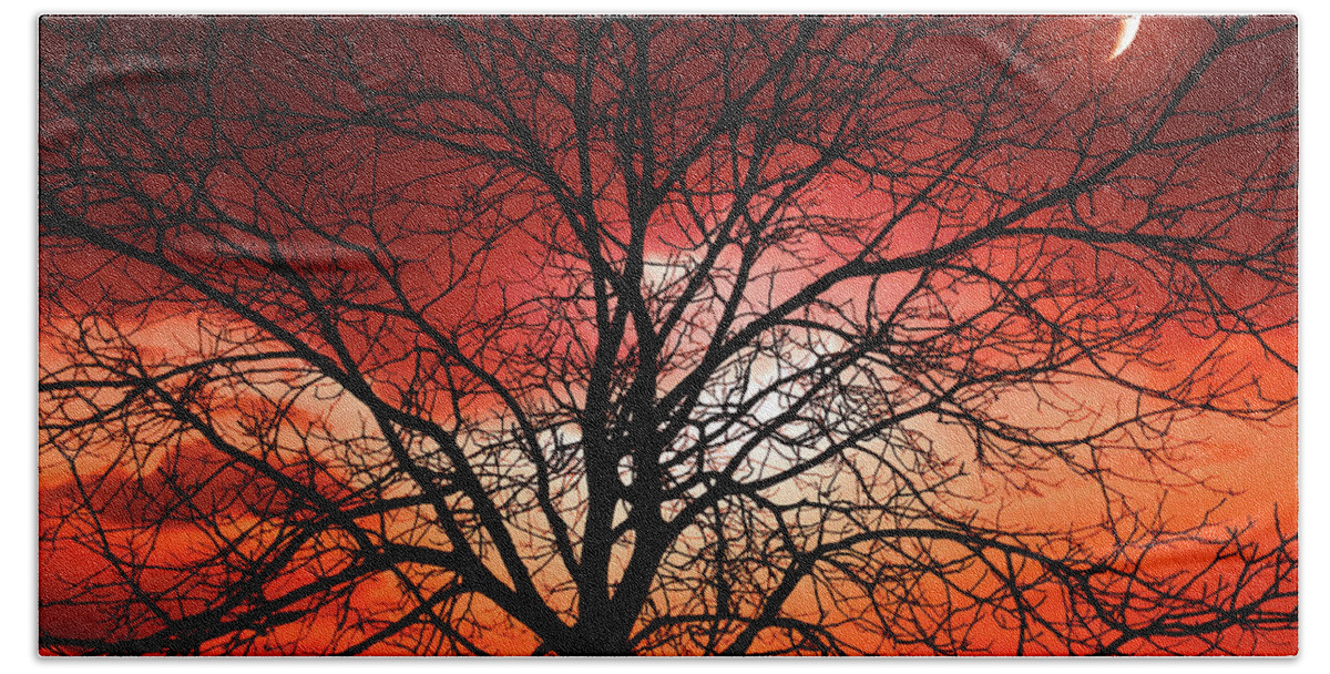 Tree Hand Towel featuring the photograph Big Bad Moon by Philippe Sainte-Laudy