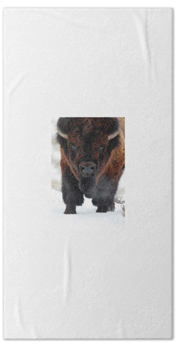 Mark Miller Photos Hand Towel featuring the photograph Big Bison by Mark Miller