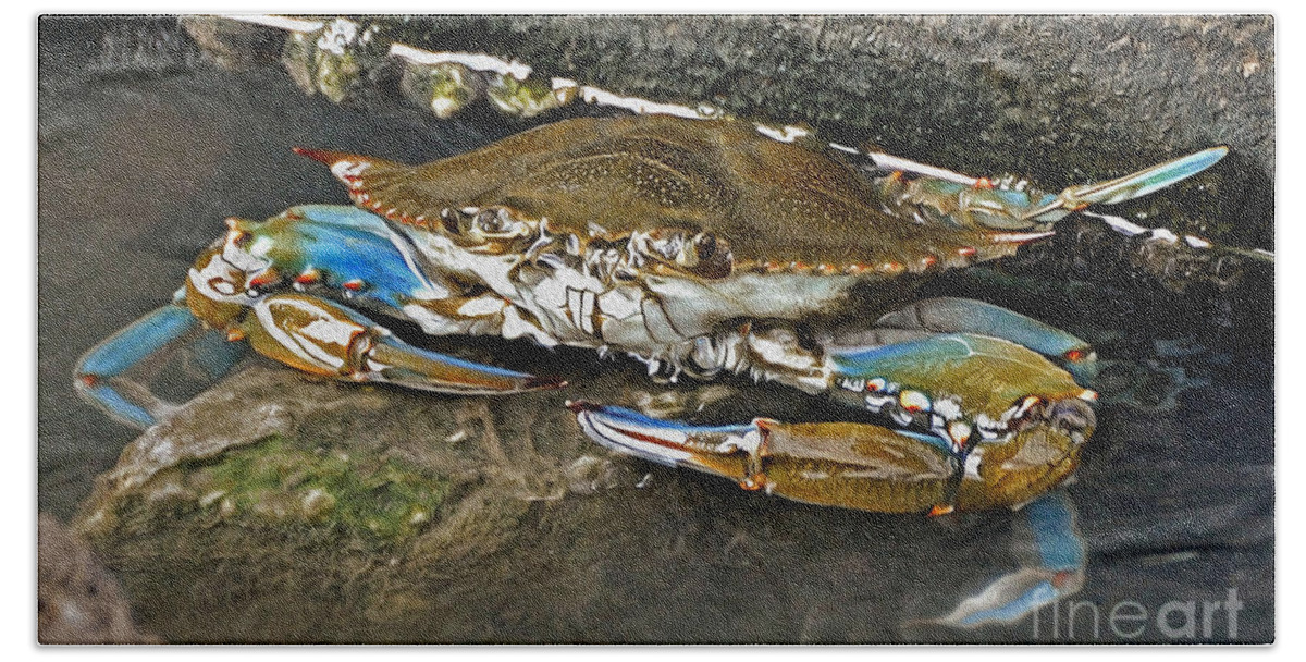 Crab Bath Towel featuring the photograph Big Blue by Kathy Baccari