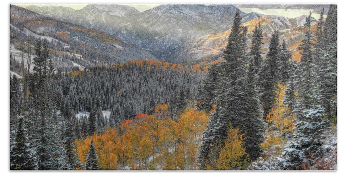 Utah Bath Towel featuring the photograph Big Cottonwood Canyon Early Snow and Fall Color by Brett Pelletier