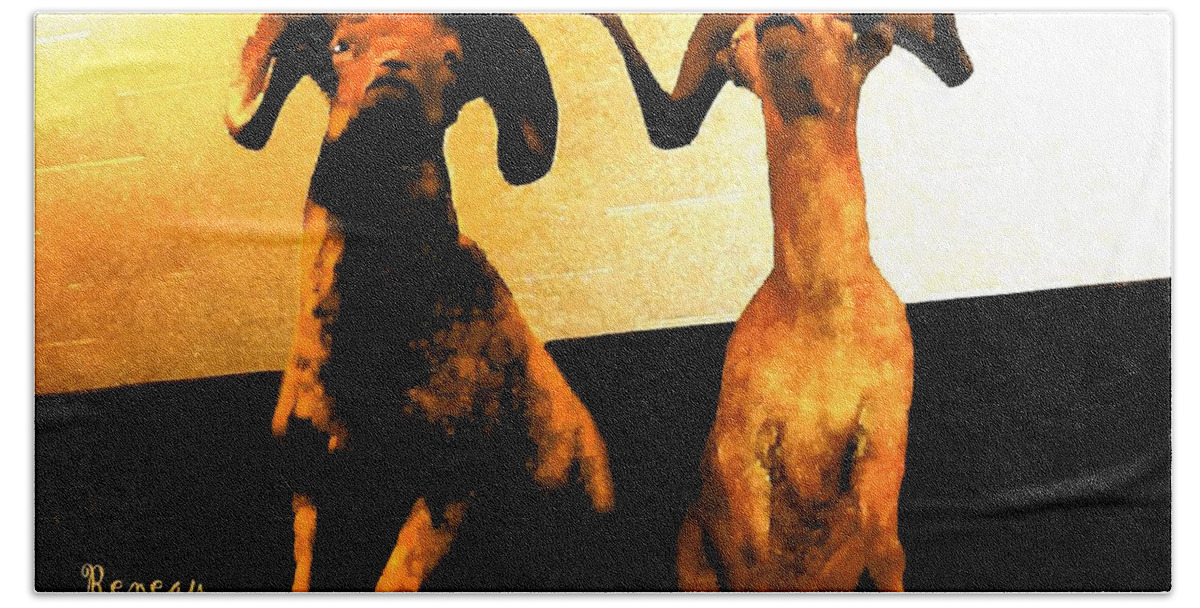 Animals Hand Towel featuring the photograph Big Game Canada - Fannin Sheep by A L Sadie Reneau