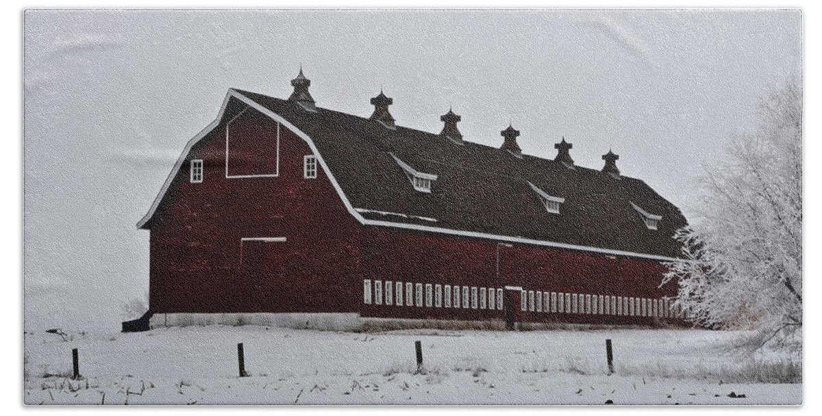 Barns Hand Towel featuring the photograph Big Red Barn in the Winter by Ed Peterson