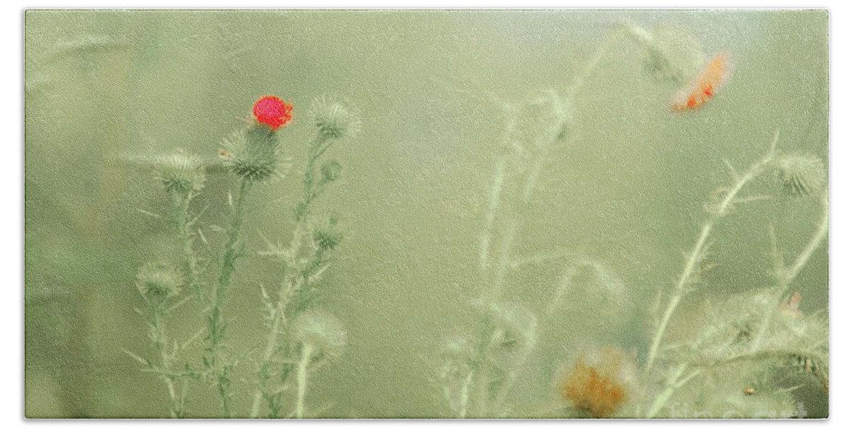 Thistles Bath Towel featuring the photograph Big red, Little red by Merle Grenz