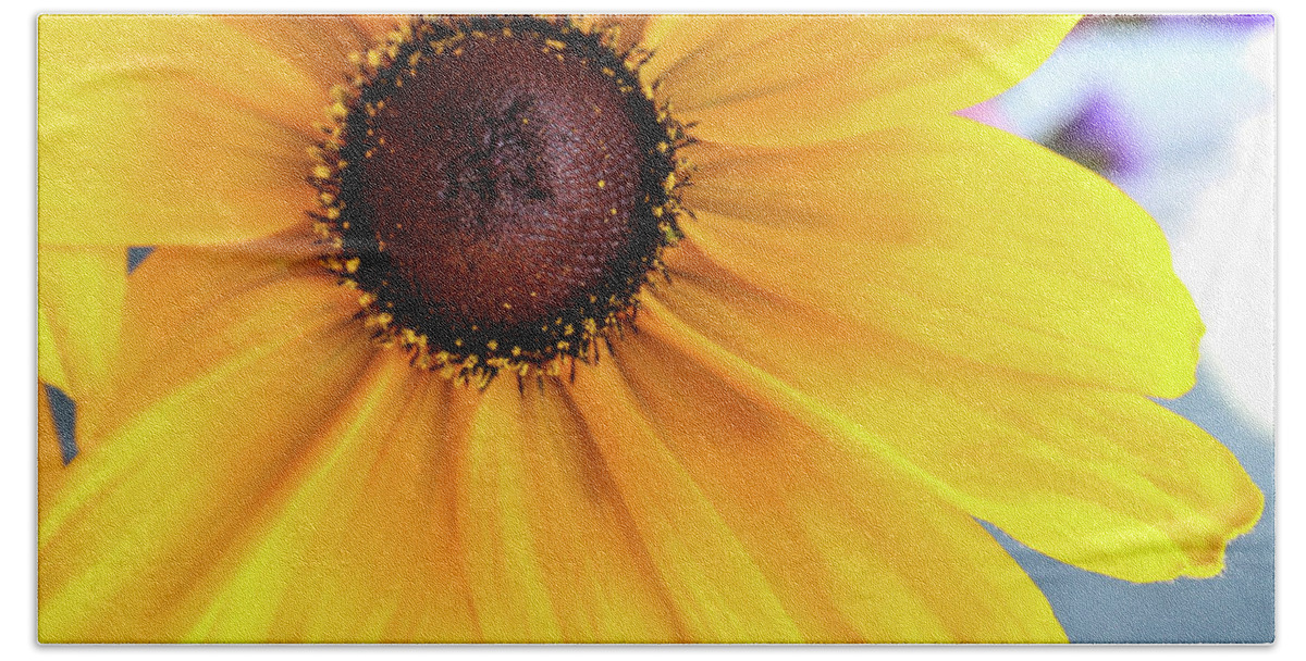 Sunflower Bath Towel featuring the photograph Big Yellow by Alison Frank