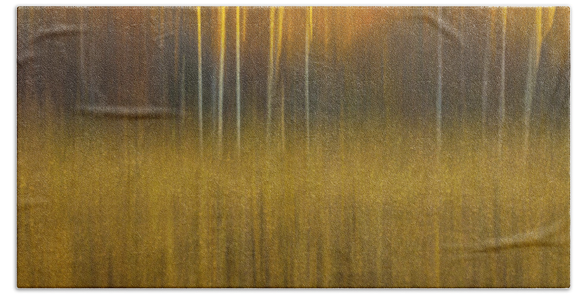 Abstract Bath Towel featuring the photograph Birch At The Edge Of The Field 2015 by Thomas Young