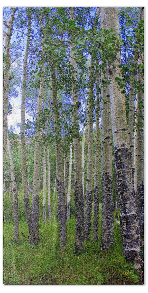 Landscape Bath Towel featuring the photograph Birch Forest by Julie Lueders 