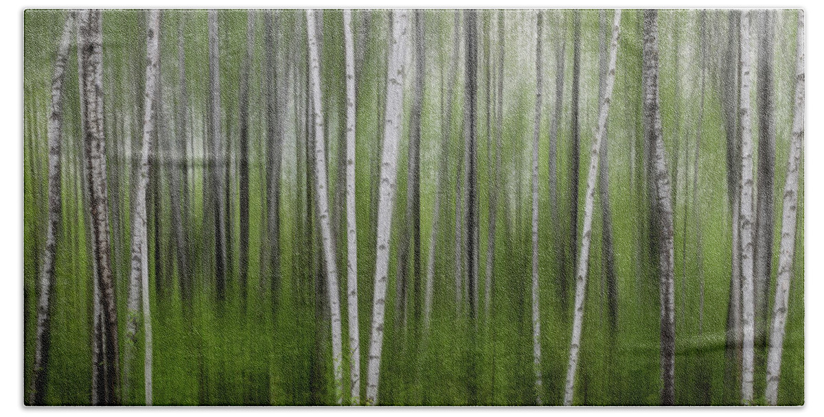 Trees Bath Towel featuring the photograph Birch Tree Forest #5 by Patti Deters