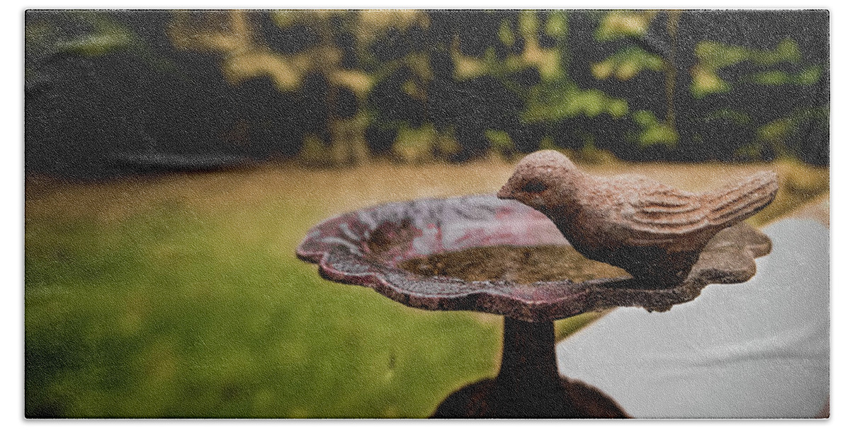  Hand Towel featuring the photograph Bird Bath by Jessie Henry