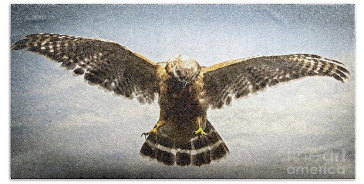 Hawk Bath Towel featuring the photograph Bird of Prey by Judy Hall-Folde