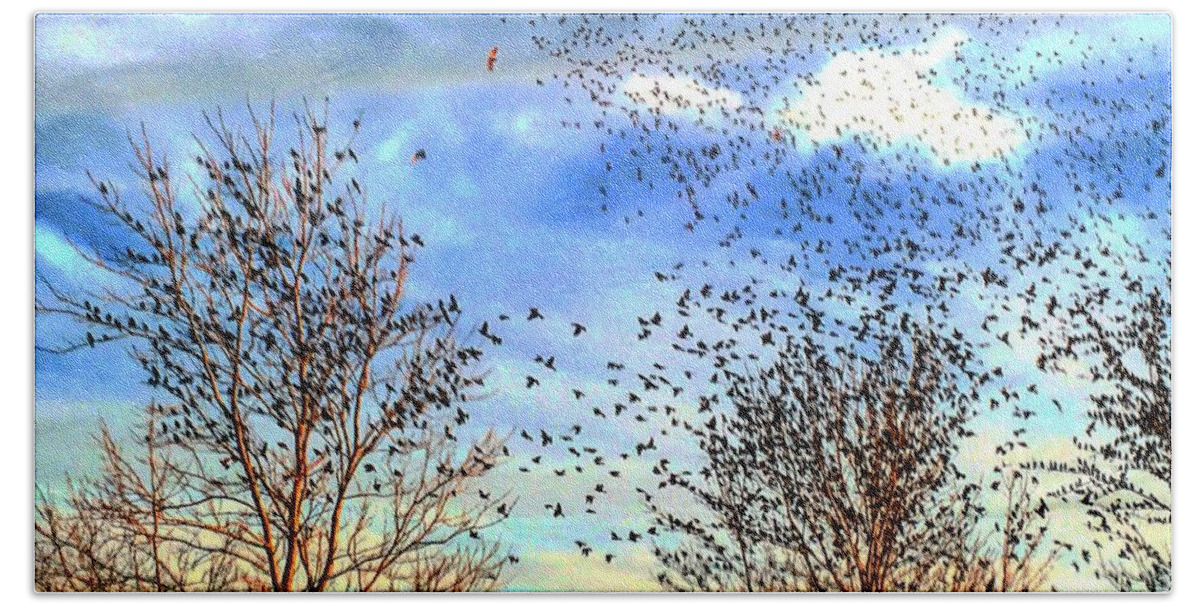 Hawks Bath Towel featuring the photograph Bird Swarms Versus Hawks on the Prairie by Michael Oceanofwisdom Bidwell