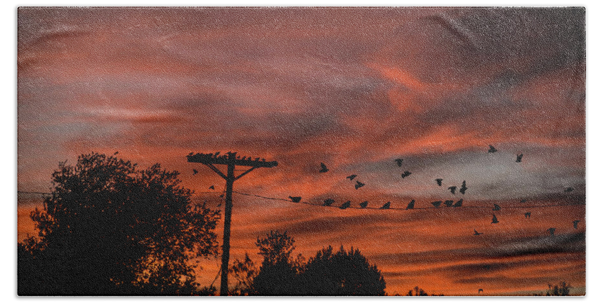 Birds Bath Towel featuring the photograph Birds and Sunset by Karen Slagle